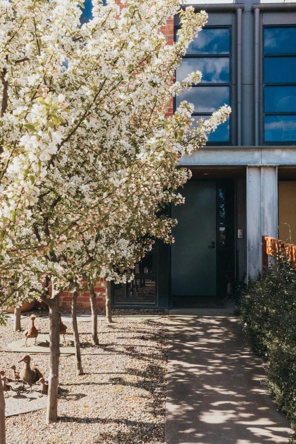 Mews Cottages Gisborne Bagian luar foto