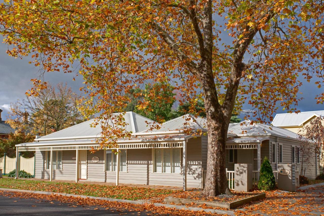 Mews Cottages Gisborne Bagian luar foto